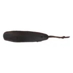 Shoe Horn